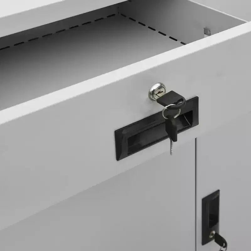 vidaXL Classeur Armoire de rangement en métal avec étagères pour la maison et le bureau Acier - Blanc sans jardinière