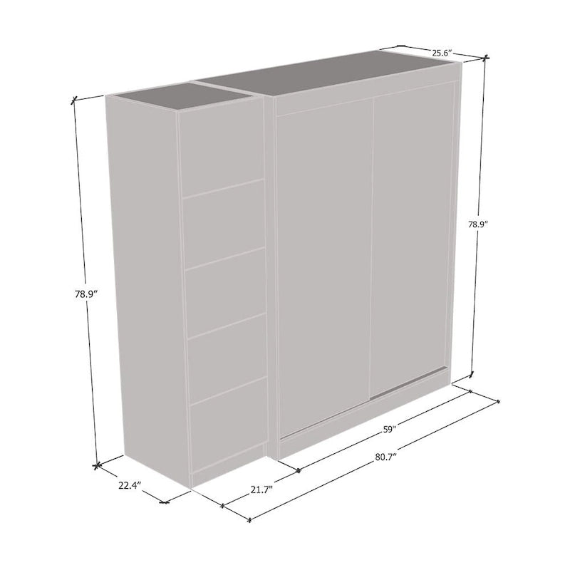 2-Door Wardrobe with Mirror, Glass Front, 2-Person (Gray / Black / White)